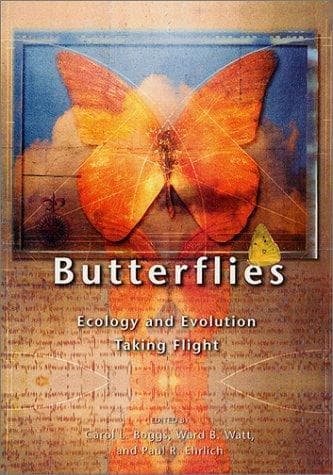 Tapa de Butterflies