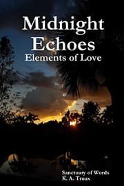 Tapa de Midnight Echoes