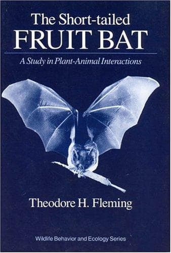 Tapa de The short-tailed fruit bat