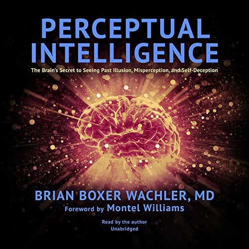 Tapa de Perceptual Intelligence Lib/E