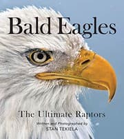 Tapa de Bald Eagles