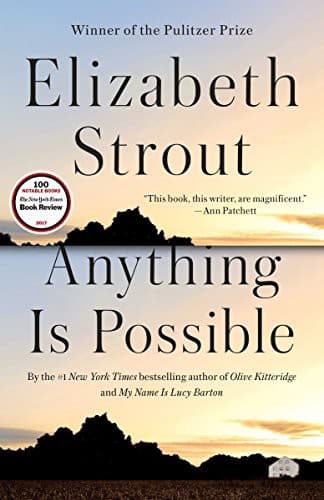 Tapa de Anything Is Possible