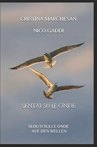 Tapa de SENTAI SU LE ONDE