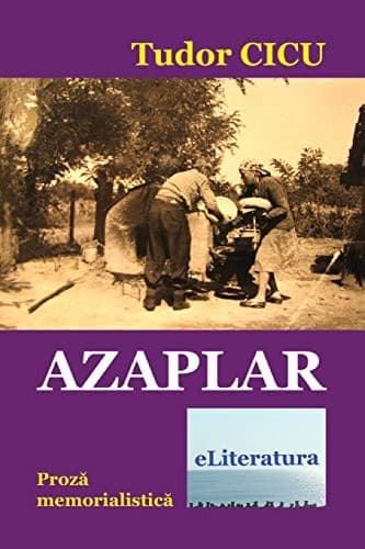 Tapa de Azaplar