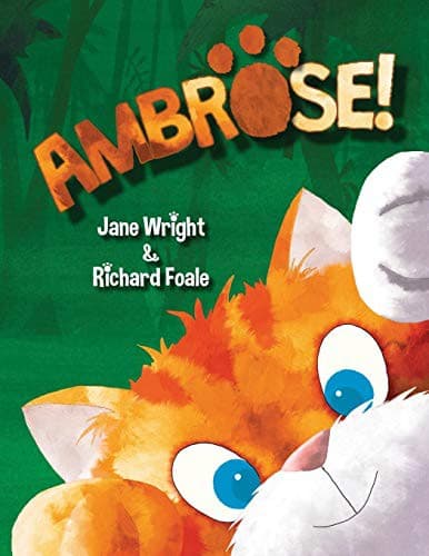 Tapa de Ambrose