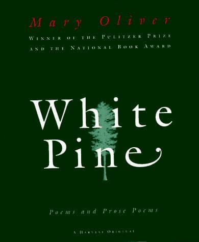 Tapa de White Pine