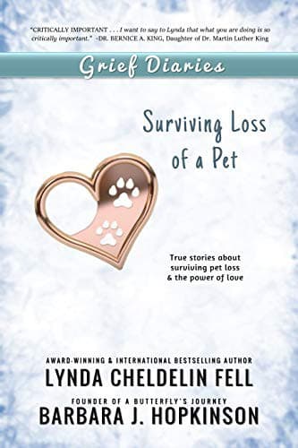Tapa de Grief Diaries