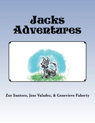 Tapa de Jacks Adventures