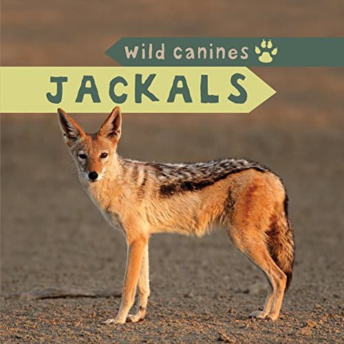 Tapa de Jackals