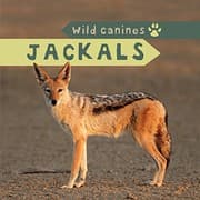 Tapa de Jackals