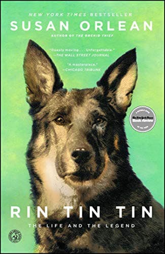 Tapa de Rin Tin Tin