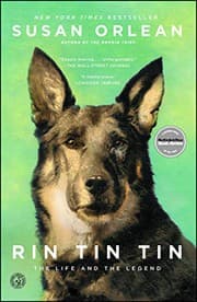 Tapa de Rin Tin Tin