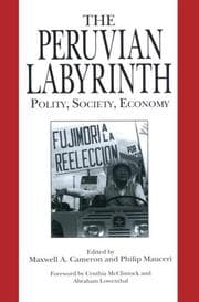 Tapa de The Peruvian labyrinth
