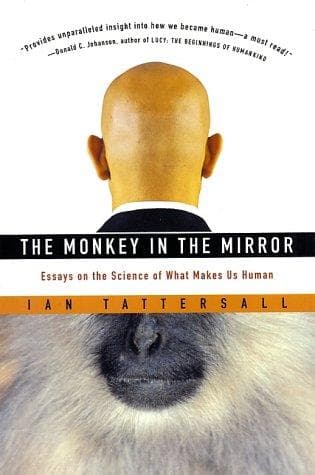 Tapa de The Monkey in the Mirror