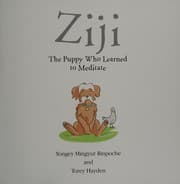 Tapa de Ziji, the puppy who learned to meditate
