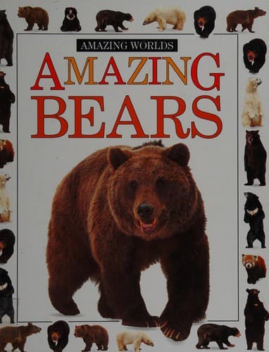 Tapa de Amazing Bears
