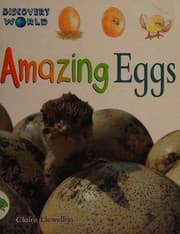 Tapa de Amazing Eggs