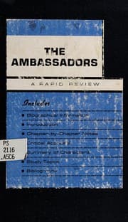 Tapa de The ambassadors