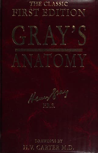Tapa de Anatomy