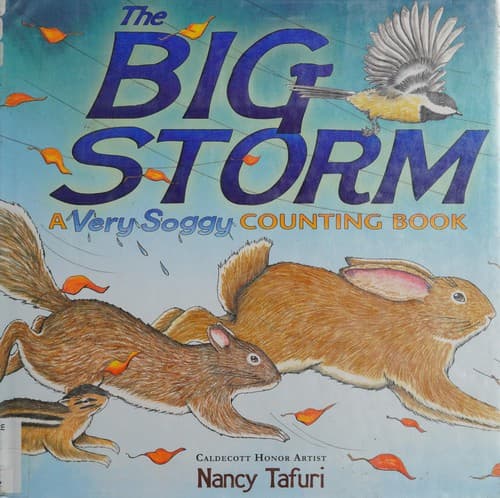 Tapa de The very big scary storm
