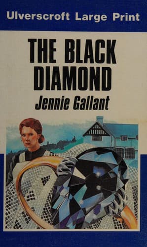 Tapa de Black Diamond