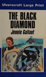 Tapa de Black Diamond
