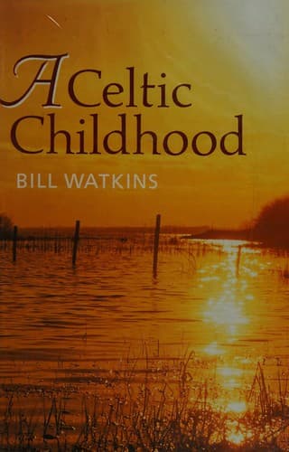 Tapa de A Celtic childhood