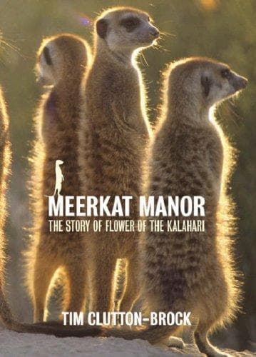 Tapa de Meerkat Manor