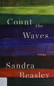 Tapa de Count the waves