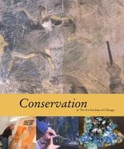 Tapa de Conservation at the Art Institute of Chicago