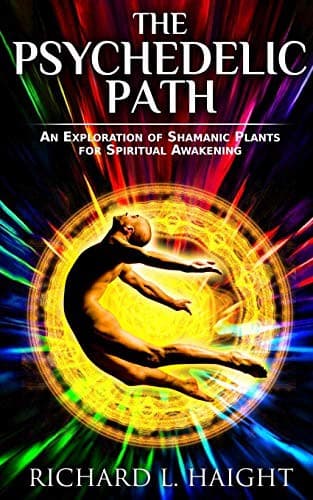 Tapa de The Psychedelic Path