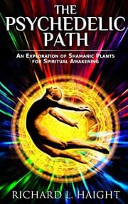 Tapa de The Psychedelic Path