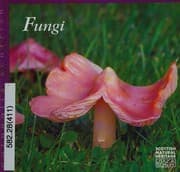 Tapa de Fungi