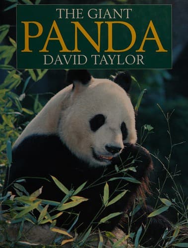 Tapa de The Giant Panda