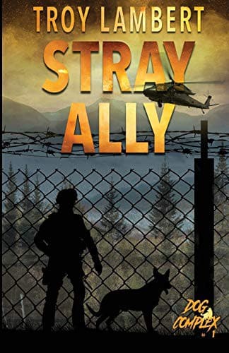 Tapa de Stray Ally