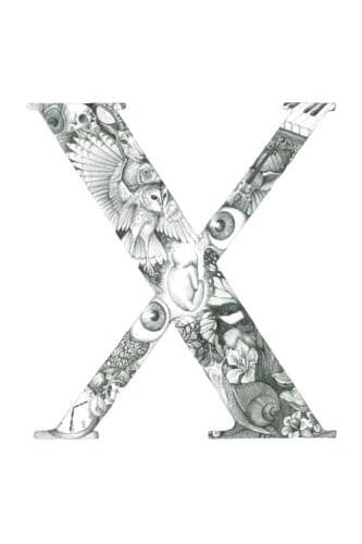 Tapa de X