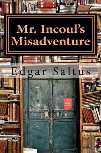 Tapa de Mr. Incoul's Misadventure