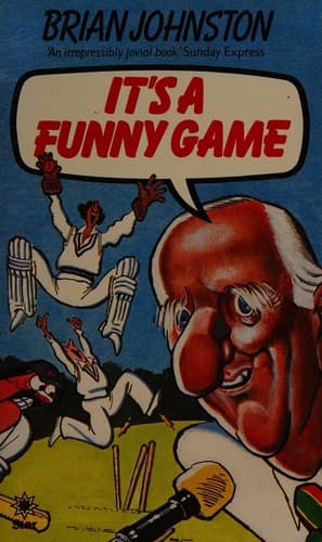 Tapa de It's a funny game