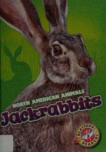 Tapa de Jackrabbits