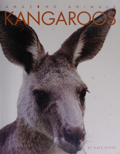 Tapa de Kangaroos