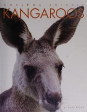 Tapa de Kangaroos