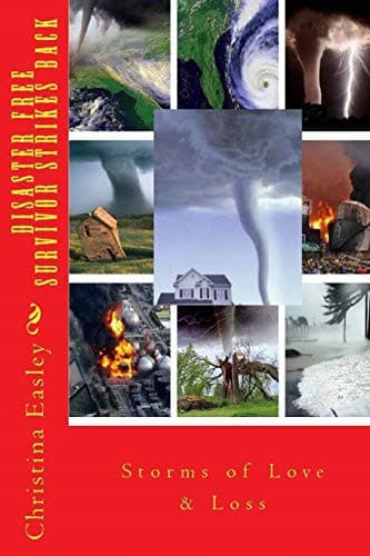 Tapa de Disaster Free Survivor Strikes Back