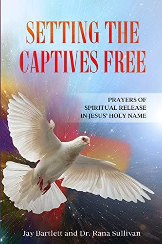 Tapa de Setting the Captives Free