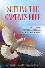 Tapa de Setting the Captives Free