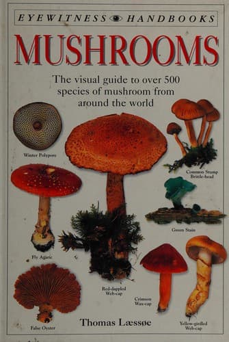 Tapa de Mushrooms