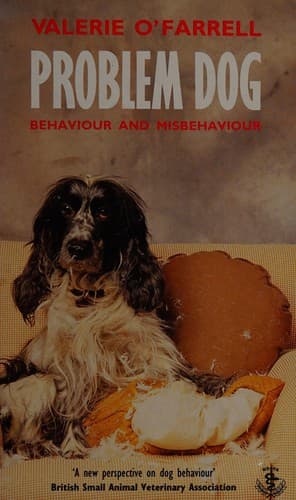 Tapa de Problem Dog