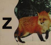 Tapa de Rigby chiquilibros letras z.