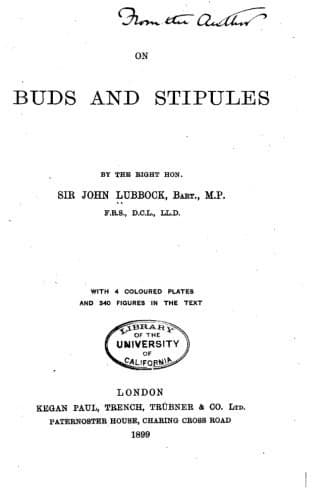 Tapa de On Buds and Stipules