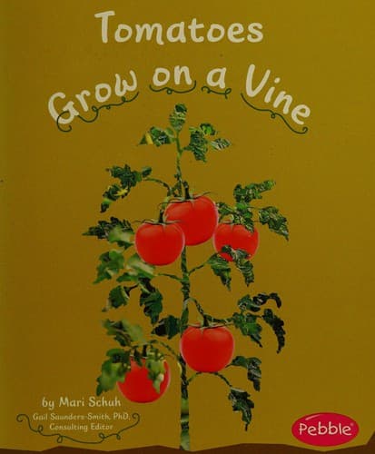 Tapa de Tomatoes grow on a vine