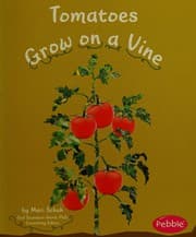 Tapa de Tomatoes grow on a vine